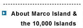 about marco island florida